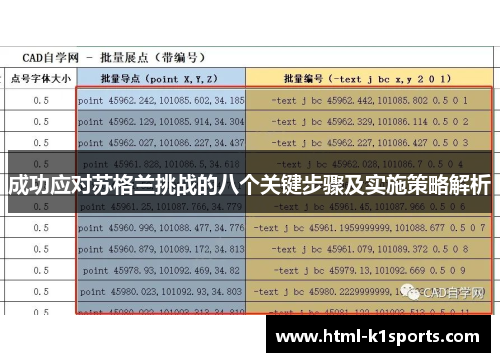 成功应对苏格兰挑战的八个关键步骤及实施策略解析