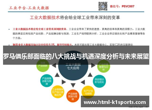 罗马俱乐部面临的八大挑战与机遇深度分析与未来展望